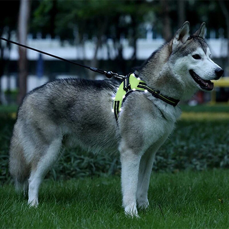 Nylon Rechargeable LED Pets Dog Harness