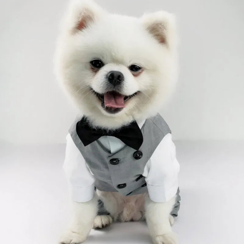 Dog Tuxedo Suit For Small Medium Breed Formal