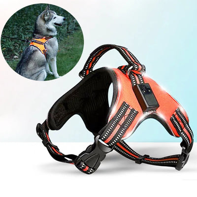 Nylon Rechargeable LED Pets Dog Harness