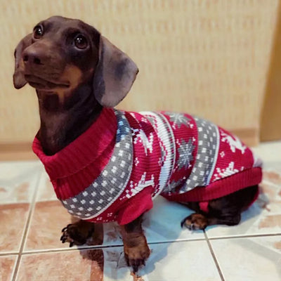 Cute Pet Dog Sweater For Small Dogs Winter Warm