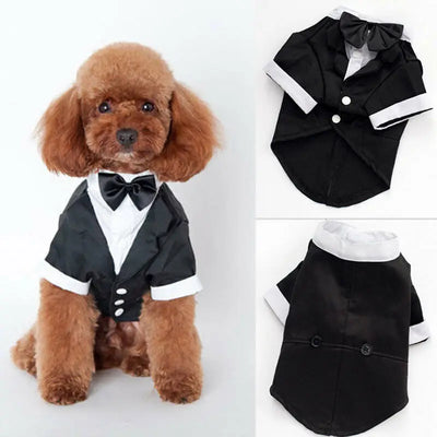 Dog Prince Wedding Costume Cute Gentleman
