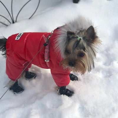 Waterproof Winter Pet Dog Clothes Warm Down Coat