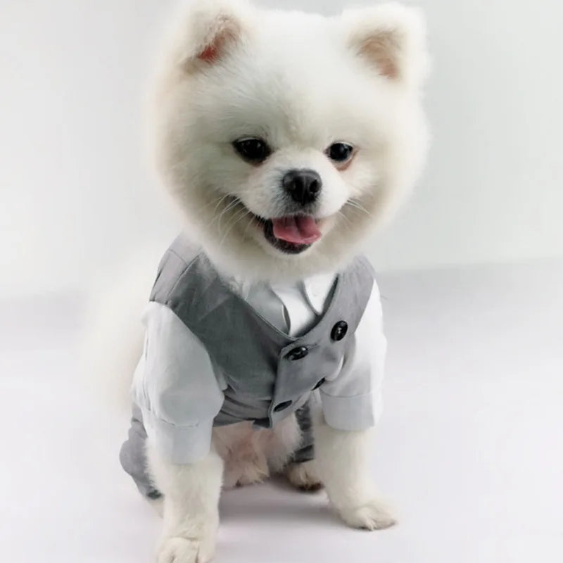 Dog Tuxedo Suit For Small Medium Breed Formal