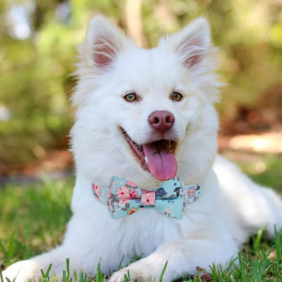 Personalized Adjustable Nylon Flower Engraved Dog Collar
