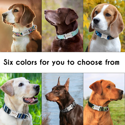 Personalized Nylon Custom Nameplate ID Dog Tag Collar