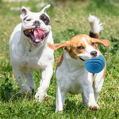 5/6/7cm Interactive Rubber Balls Pet Dog Toy