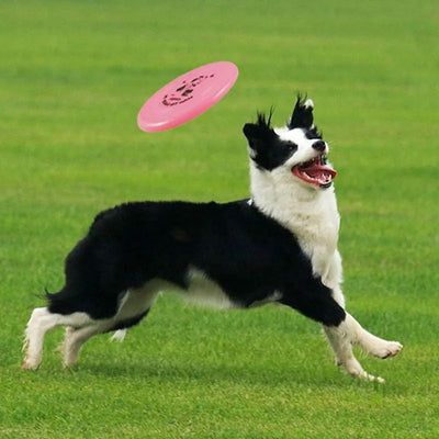Plastic Flying Saucer Dog Toy Pet Game Flying Discs