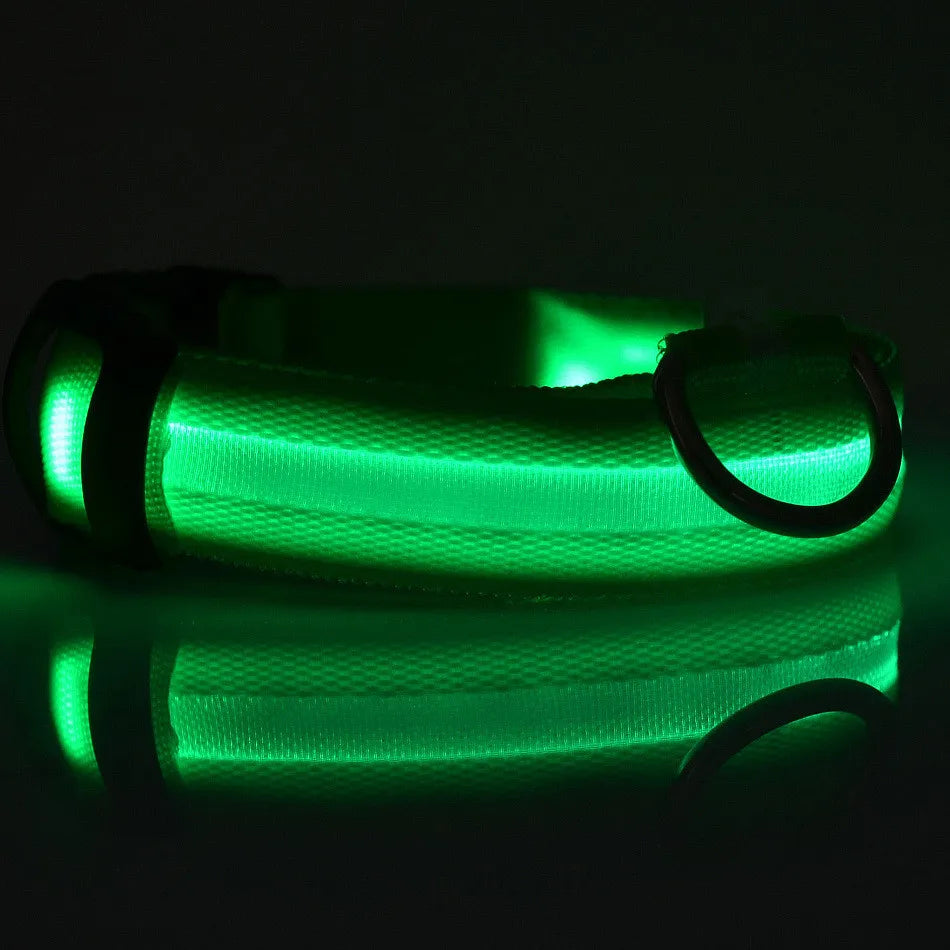 Nylon Pet Dog Collar LED Light Night Safety Pets Supplies