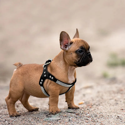 Soft Suede Leather Puppy Pet Dog Harness