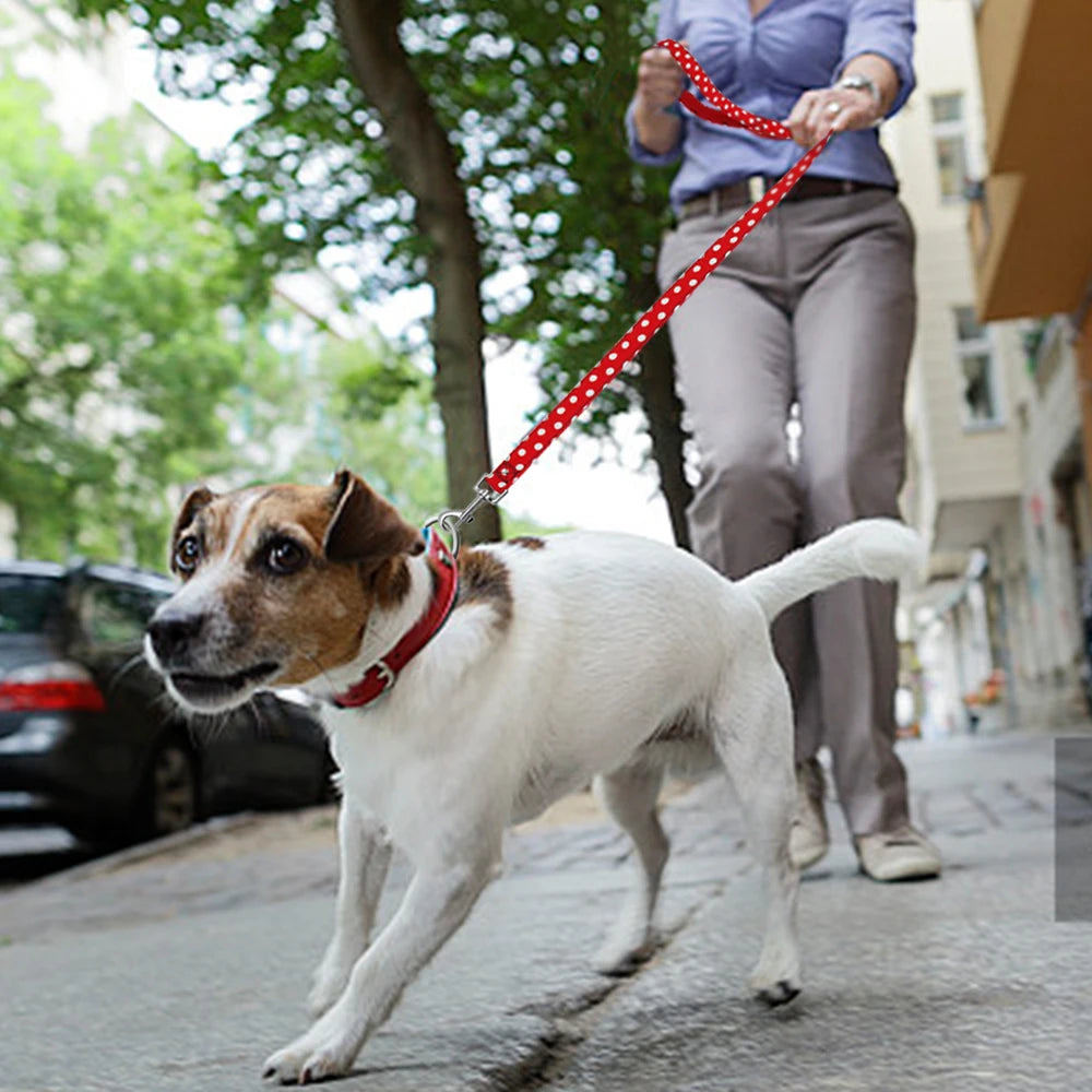 4ft Polka Dot  Nylon Pet Walking Running Dogs Leash