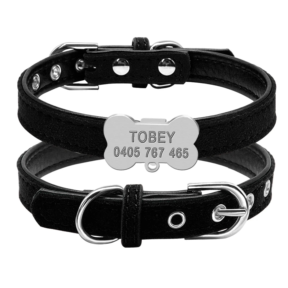 Personalized Custom Chihuahua Puppy Cat Dog Collars