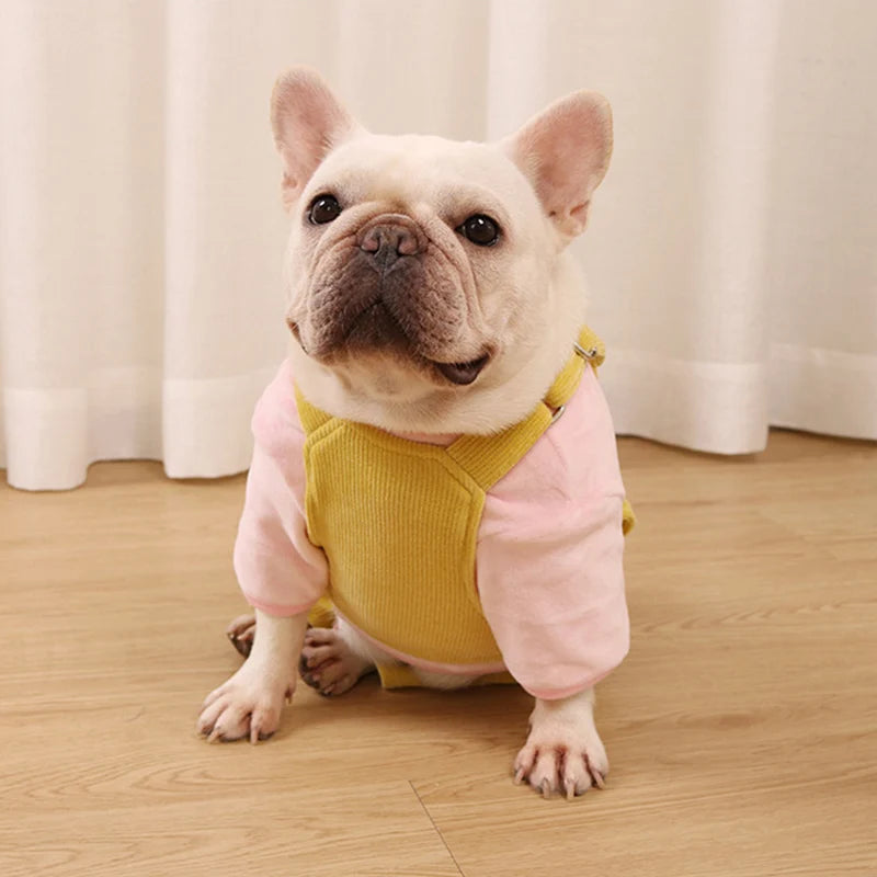 French Bulldog Clothes For Dogs Winter Clothing
