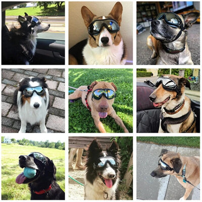 Adjustable Pet Dog Goggles Sunglasses Anti-UV