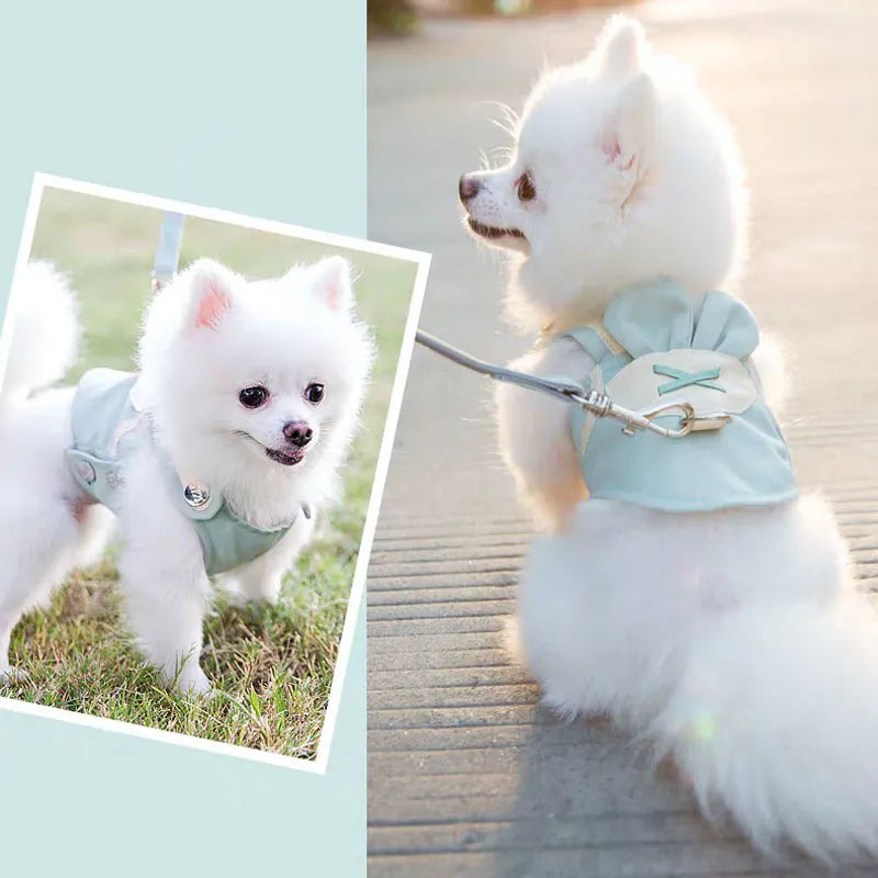 Cute Leash Set Chest Strap Breathable Pet Dog Harness