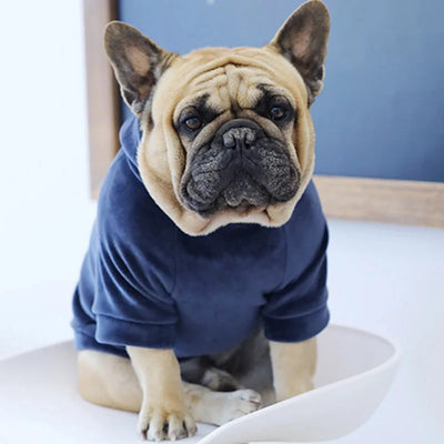 Winter Pet Dog Clothes Pug French Bulldog Clothing