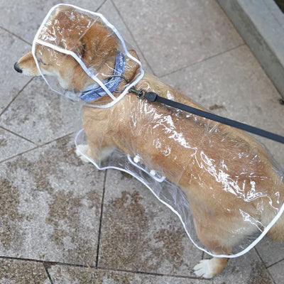 Pet Dog Hooded Waterproof Transparent Raincoat
