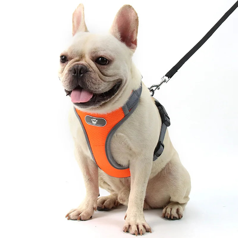 Medium Large Breathable Dog Training Harness Vest