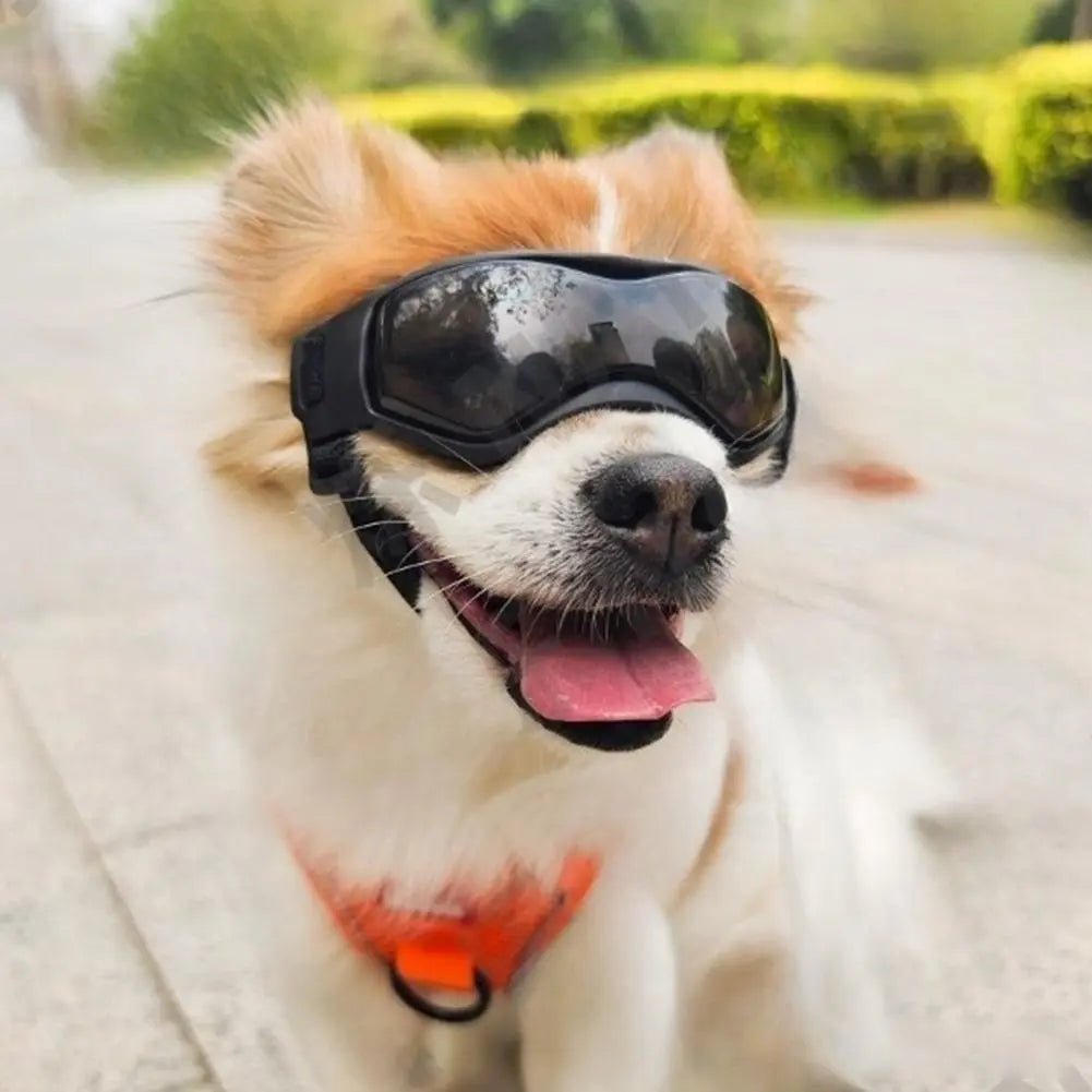 Small Pet Dog Goggles Sunglasses UV Eye Protection Windproof