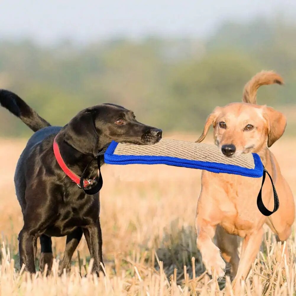 Dog Bite Stick Easy to Grip Interactive Dog Bite Toy