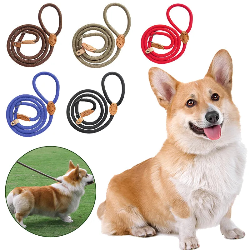 Nylon Dogs Lead Leash Adjustable Harness Durable Rope Belt Loop