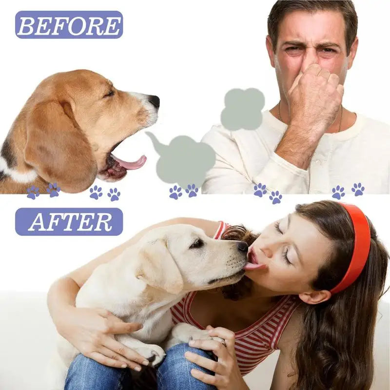 Spray Dog Oral Care 60ML Bad Breath Teeth Cleaning Breath Freshener