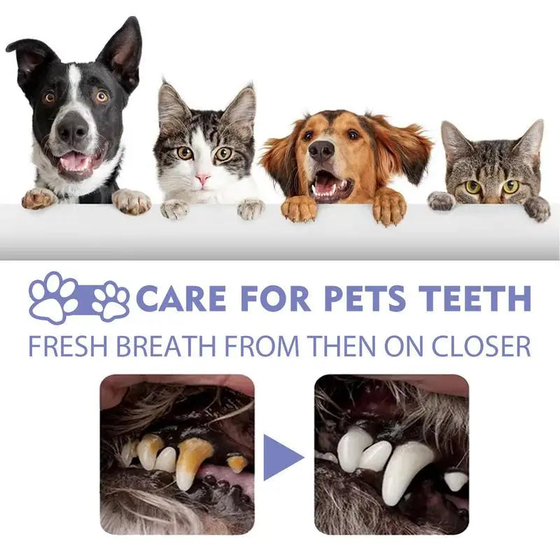 Spray Dog Oral Care 60ML Bad Breath Teeth Cleaning Breath Freshener