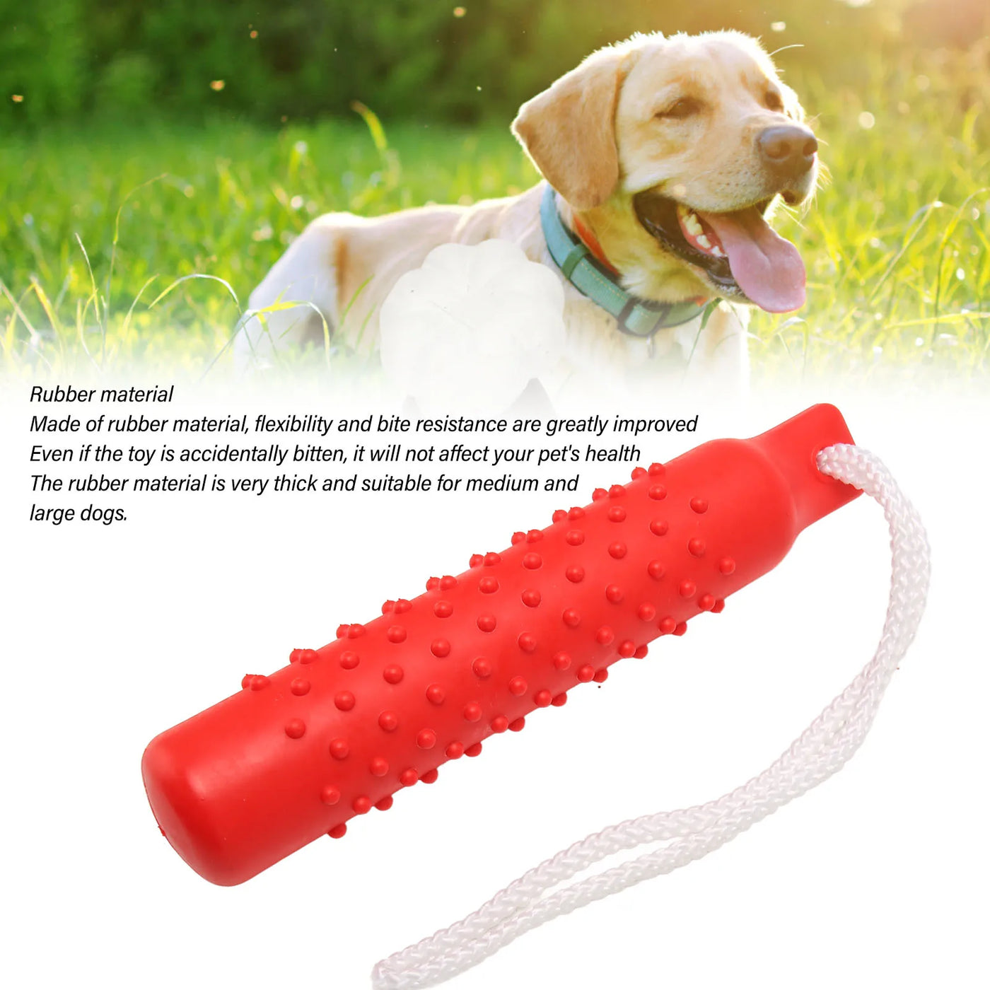 Durable Dog Toys For Aggressive Chewers