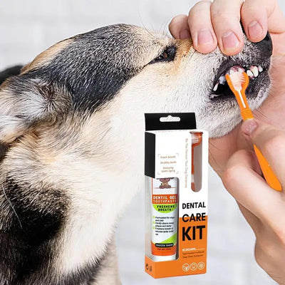 Oral Care Pet Puppy Toothbrush Toothpaste Kit